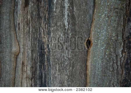 Holz Textur