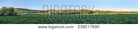 Beautiful Panoramic Landscape With Fields And Vineyards Near Rognes, Provence, France