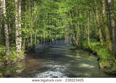 Small Creek Hafenlohr Flows Through The Dense Wild Forest In Bavaria, Germany