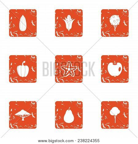 Vegan Supply Icons Set. Grunge Set Of 9 Vegan Supply Vector Icons For Web Isolated On White Backgrou