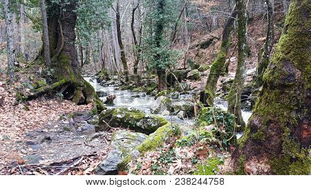 wood, tree, landscape, outdoors, nature, tree log, sky, roof, hay, bulldozer, tractor, transportatio