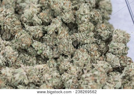 Healing Medical Strains Of Cannabis Marijuana Close-up