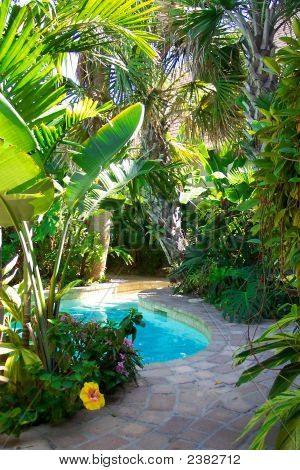 Piscina tropical