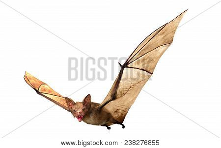 Flying Vampire Bat Isolated On White Background, 3d Rendering