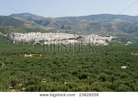 Mattinata (gargano, Puglia, Itálie) na léto