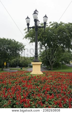 Garden Red  Flowers Chandelier Post Curitiba City Brazil