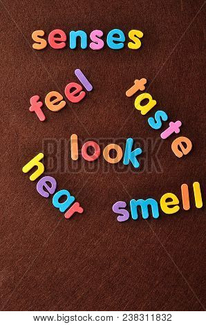 The Words Senses, Feel, Taste, Look, Hear And Smell On A Brown Background