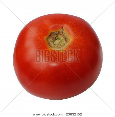 Tomaten