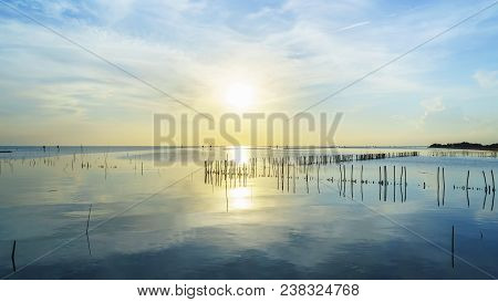 Beautiful Sunset In Mangrove Forest Area , Bang Pakong District, Chachoengsao ,thailand