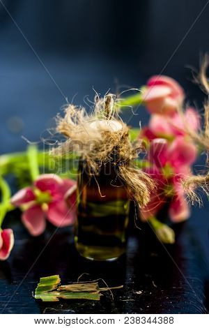 Ayurvedic And Floral Essence Of Rangoon Creeper Or Chinese Honeysuckle Or Madhumalti In A Transparen