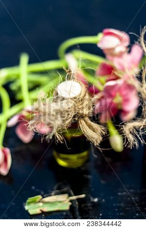 Ayurvedic And Floral Essence Of Rangoon Creeper Or Chinese Honeysuckle Or Madhumalti In A Transparen
