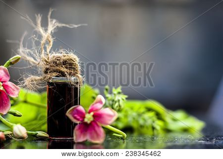 Red Colored Ayurvedic And Floral Essence Of Rangoon Creeper Or Chinese Honeysuckle Or Madhumalti In