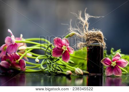 Red Colored Ayurvedic And Floral Essence Of Rangoon Creeper Or Chinese Honeysuckle Or Madhumalti In