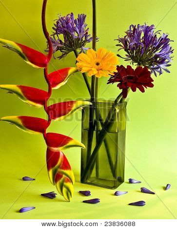 Blomst Arrangement