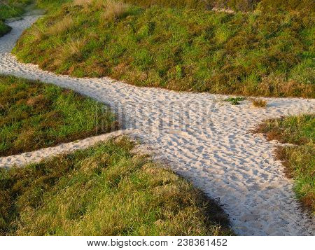 Sand Paths Crossing Through Dune Grasses At Papamoa, Tauranga.