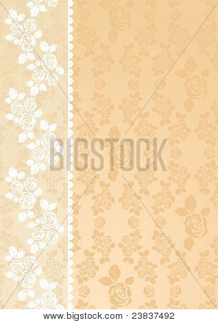 Spitze Beige