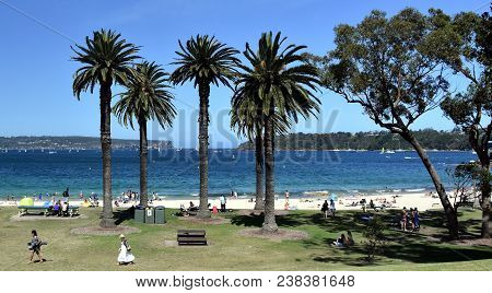 Balmoral Beach With Palm Trees. Entrance Of Sydney Harbour With North Head And South Head In The Bac