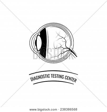 Human Eye Anatomy. Oculist Badge. Ophthalmologe Icon. Diagnostic Testing Center. Vector Illustration