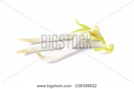 Bean Sprouts, Soybean Sprouts On A White Background