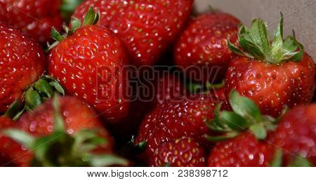 Freshly Picked Red Strawberries. Group Of Strawberry Or Stack Of Strawberries Concept. Fresh Harvest