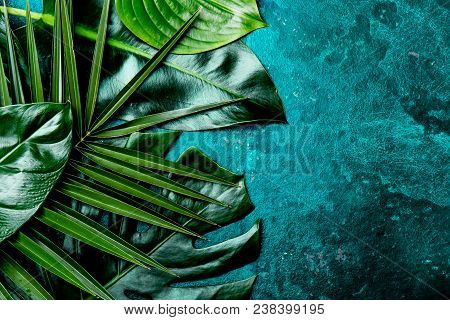 Creative Tropical Leaves Background. Trandy Tropical Leaves On Turquoise Slate Background - Color Of