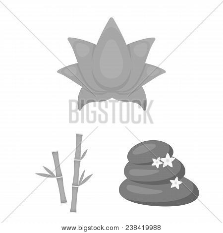 Spa Salon And Equipment Monochrome Icons In Set Collection For Design. Relaxation And Rest Vector Sy