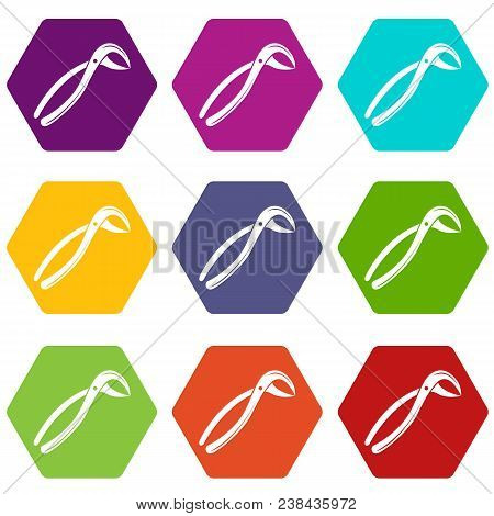 Tooth Pliers Medicine Icons 9 Set Coloful Isolated On White For Web