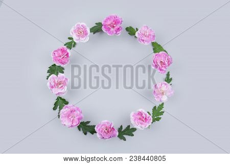 Flower Flat Lay Flower Fream Romantic Concept