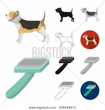 Veterinary Clinic Cartoon, Black, Flat, Monochrome, Outline Icons In Set Collection For Design. Trea