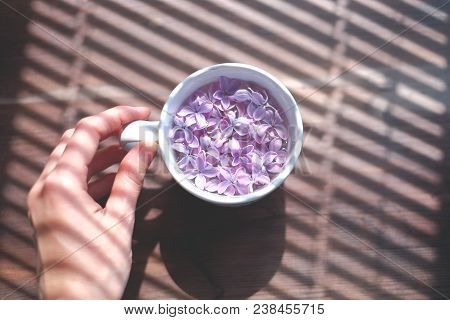 White Cup Full Of Lilac Flowers In A Hand Over Blinds Shadow Texture.