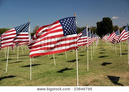 amerikanische Flaggen