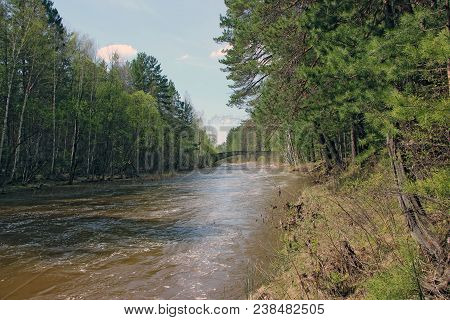 Landscape Image Of Small And Fast River Carries Its Water Among Green Trees And Bushes, Blue Sky, An