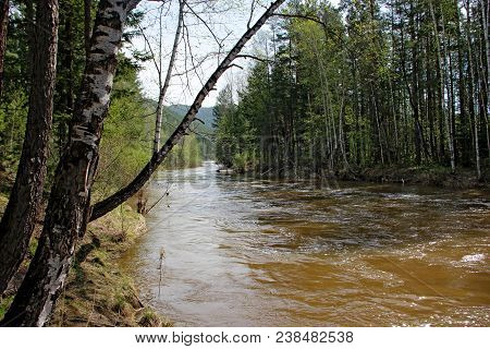 Landscape Image Of Small And Fast River Carrying Its Water Among Green Trees And Bushes, Blue Sky, A