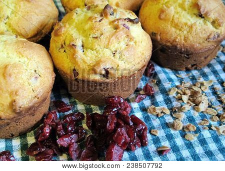 Cranberry Oatmeal Breakfast Muffins On Background Of Blue-green Gingham