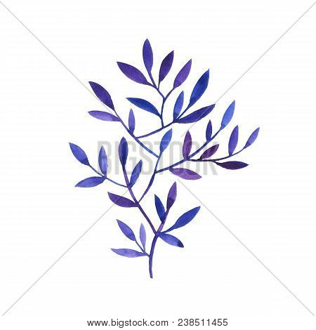 Blue Watercolor Drawing Tree, Hand Drawn Illuctration