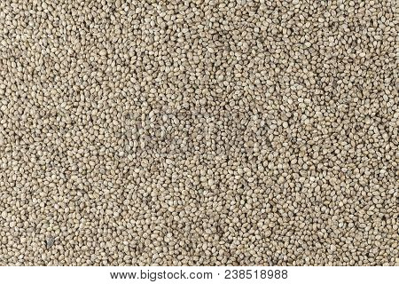Hemp Seeds Are Scattered As A Background, Space For Text