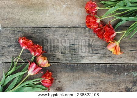 Spring Flowers. Bouquet Of Red Tulips On Brown Wooden Background. Mother's Day And Valentines Day Ba
