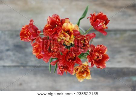 Spring Flowers. Bouquet Of Red Tulips On Brown Wooden Background. Mother's Day And Valentines Day Ba