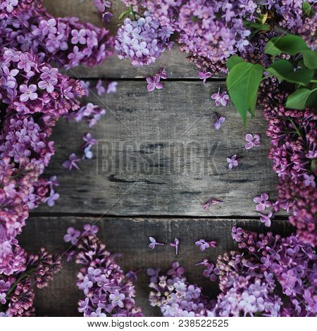 Spring Flower Frame With Lilac Bunch Woth Copy Space. Rustic Textured Board.