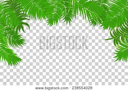 Web Summer Jungle Vector Photo Free Trial Stock Web Summer Jungle Frame Banner Green Palm Leaves Template Isolated Transpa Background Vector A
