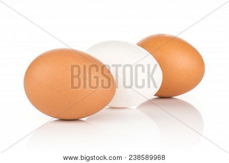 White Chicken Eggs Collection Isolated On White Background One White And Two Brown