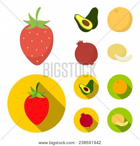 Strawberry, Berry, Avocado, Orange, Pomegranate.fruits Set Collection Icons In Cartoon, Flat Style V