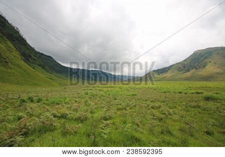 Savanna Of Bromo - Teletubbies Hill,  Bromo Tengger National Park, Indonesia