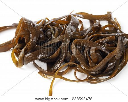 Thongweed - Sea Thong - Sea Spaghetti - Espagheti De Mar

Sea Spaghetti Is A Brown Algae. Binomial N
