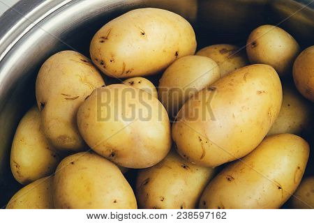 Crop. Agriculture. Young Potato Close Up. Culture, Farm