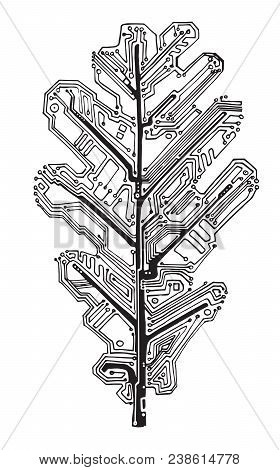 Oak Leaf - The Scheme Black And White Electronic Structure As Construction Model In The Form Of A Le