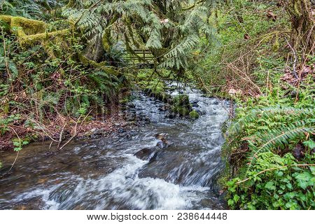 A Stream Rushes Past A Walking Brdige At Flaming Geyser State Park In Washington State.