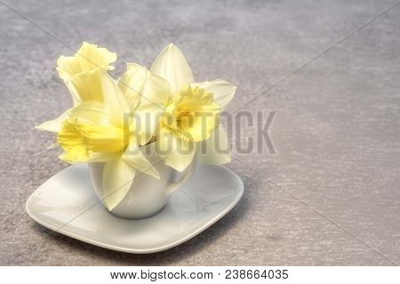 Three Yellow Narcissus Bouquet In A Coffee Cup Instead Of Vase With Copy Space For Your Greetings Te