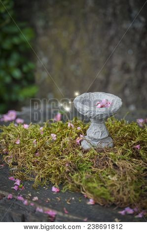 Fairy Bird Bath With Pink Flowers And Sparks Of Light