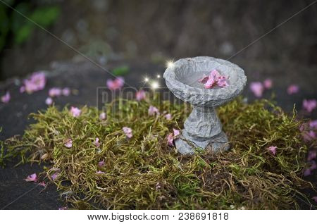 Fairy Bird Bath With Pink Flowers And Sparkles Of Light